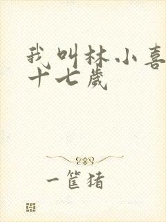 我叫林小喜今年十七岁