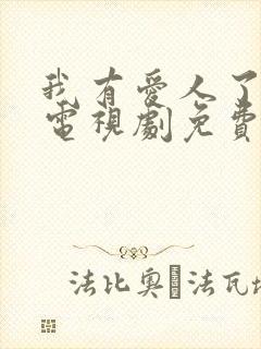 我有爱人了韩剧电视剧免费观看全集国语版