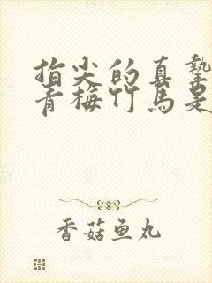 指尖的真挚热情青梅竹马是消防员封面