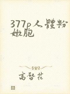 377p人体粉嫩胞