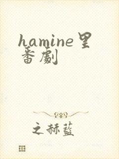 hamine里番剧