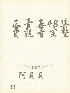 正青春48集免费观看完整版封面