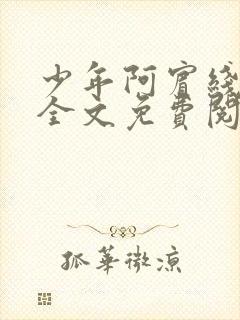 少年阿宾线阅读全文免费阅读最新