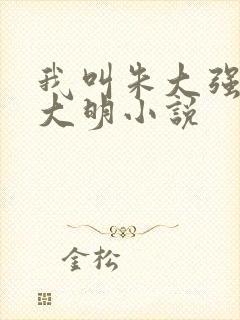 我叫朱大强穿越大明小说