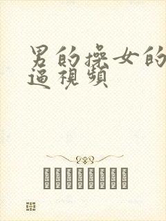 男的操女的小逼逼视频