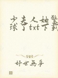 少夫人她惊艳全球了txt下载