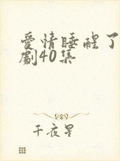 爱情睡醒了电视剧40集