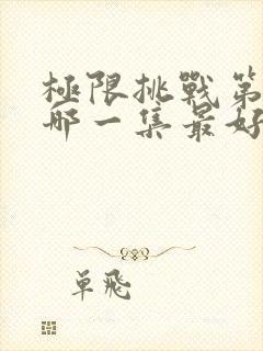 极限挑战第二季哪一集最好看