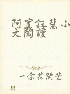 阿宾钰慧小说全文阅读