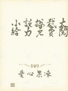 小说总裁大人超给力免费阅读全文