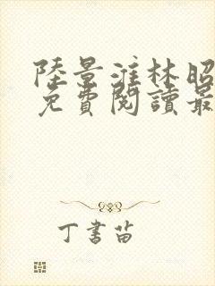 陆景淮林昭小说免费阅读最新章节