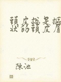 头皮总是抠出块状的头皮屑