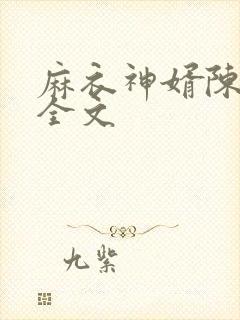 麻衣神婿陈黄皮全文