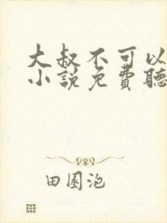 大叔不可以有声小说免费听