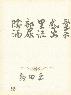 阴部里感觉有几滴尿流出来封面