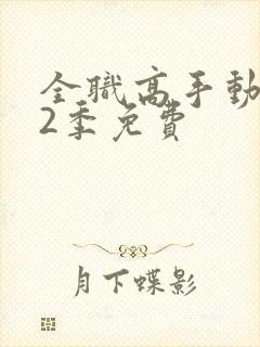 全职高手动漫第2季免费