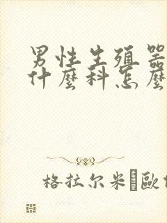 男性生殖器病看什么科怎么办封面