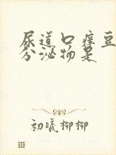 尿道口痒豆腐渣分泌物是