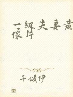 一级夫妻黄色录像片