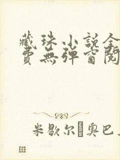 藏珠小说全文免费无弹窗阅读