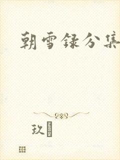 朝雪录分集介绍