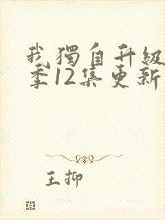 我独自升级第二季12集更新