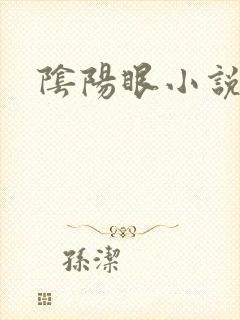 阴阳眼小说封面