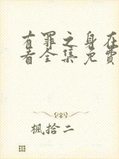 有罪之身在线观看全集免费播放封面