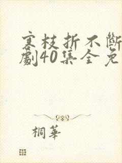 寒枝折不断电视剧40集全免费播放封面