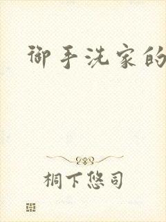 御手洗家的破洞封面