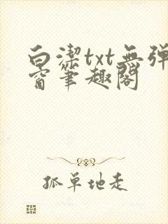 白洁txt无弹窗笔趣阁