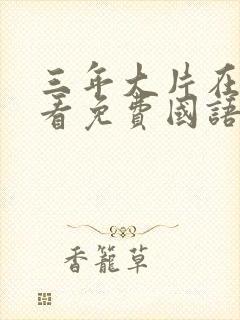 三年大片在线观看免费国语版动漫