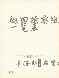 巡回检察组坏人一览表