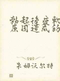 勃起后疲软什么原因造成的