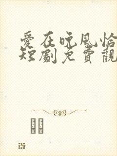 爱在晚风恰逢时短剧免费观看