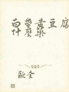 白带黄豆腐渣用什么药