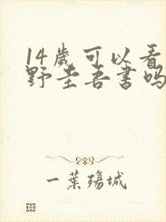 14岁可以看东野圭吾书吗