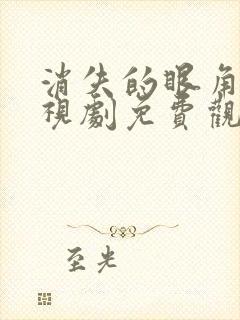 消失的眼角膜电视剧免费观看韩剧