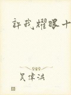 许我耀眼十二集