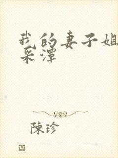 我的妻子姐姐李采潭封面
