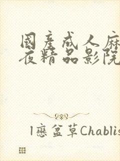 国产成人麻豆午夜精品影院游乐网