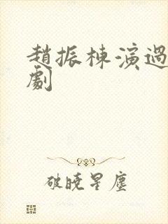 赵振栋演过哪些剧封面