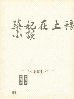 药妃在上穆丹枫小说