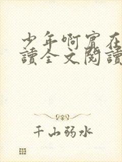 少年啊宾在线阅读全文阅读