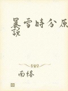 暴雪时分原著小说封面