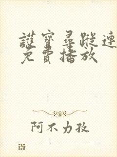 护宝寻踪连续剧免费播放封面