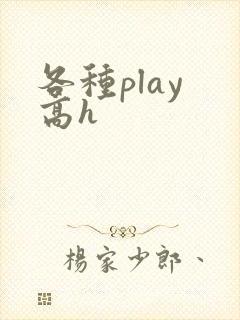各种play 高h封面