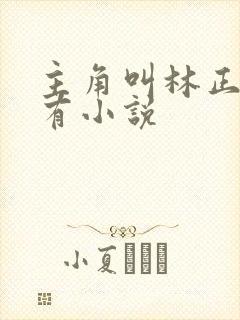 主角叫林正的所有小说