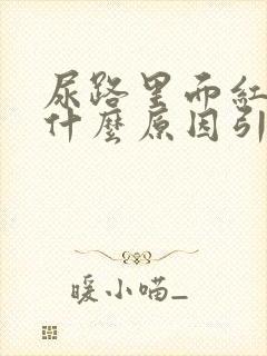 尿路里面红色是什么原因引起的