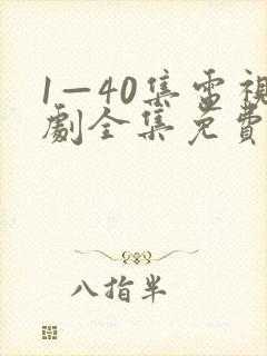 1—40集电视剧全集免费观看封面